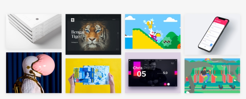 Bengal Tiger, transparent png download