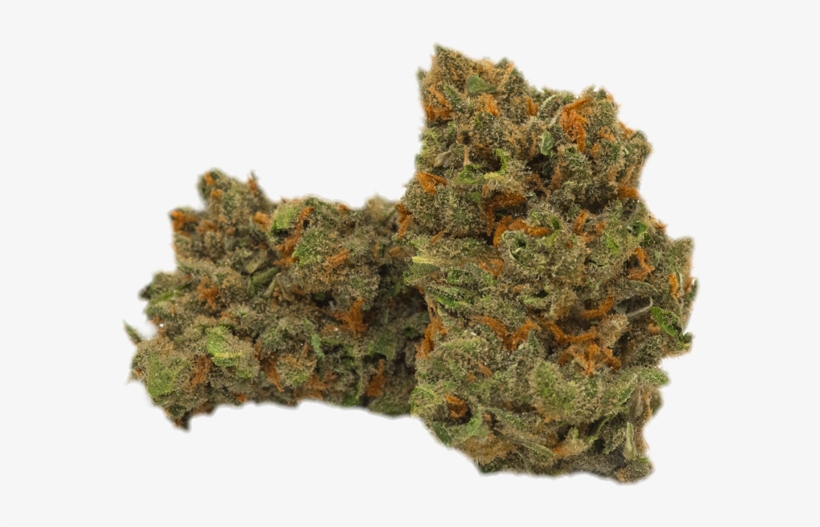 Jack Herer - Scale Model, transparent png download