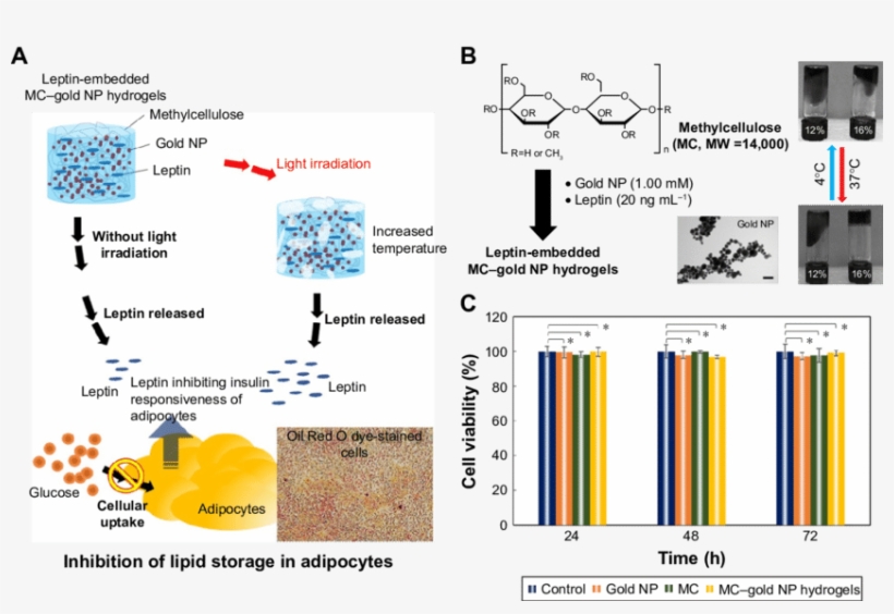Light Sensitive Mc Gold Np Hydrogels - Diagram, transparent png download