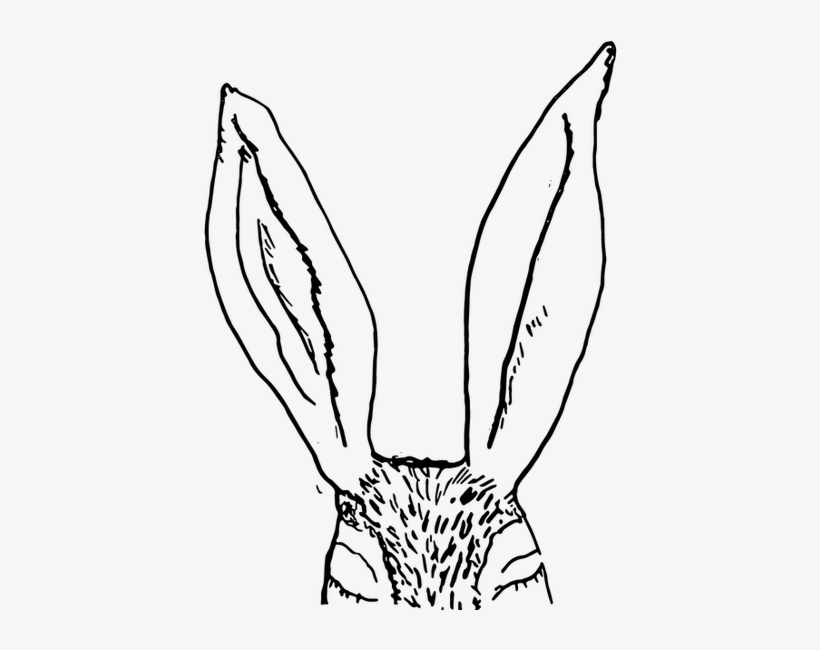 Phsketch2 - Sketch, transparent png download