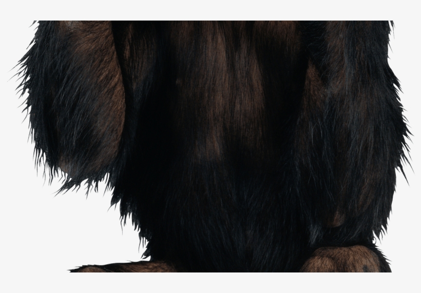 15 Monkey Png For Free Download On Mbtskoudsalg - Icon, transparent png download