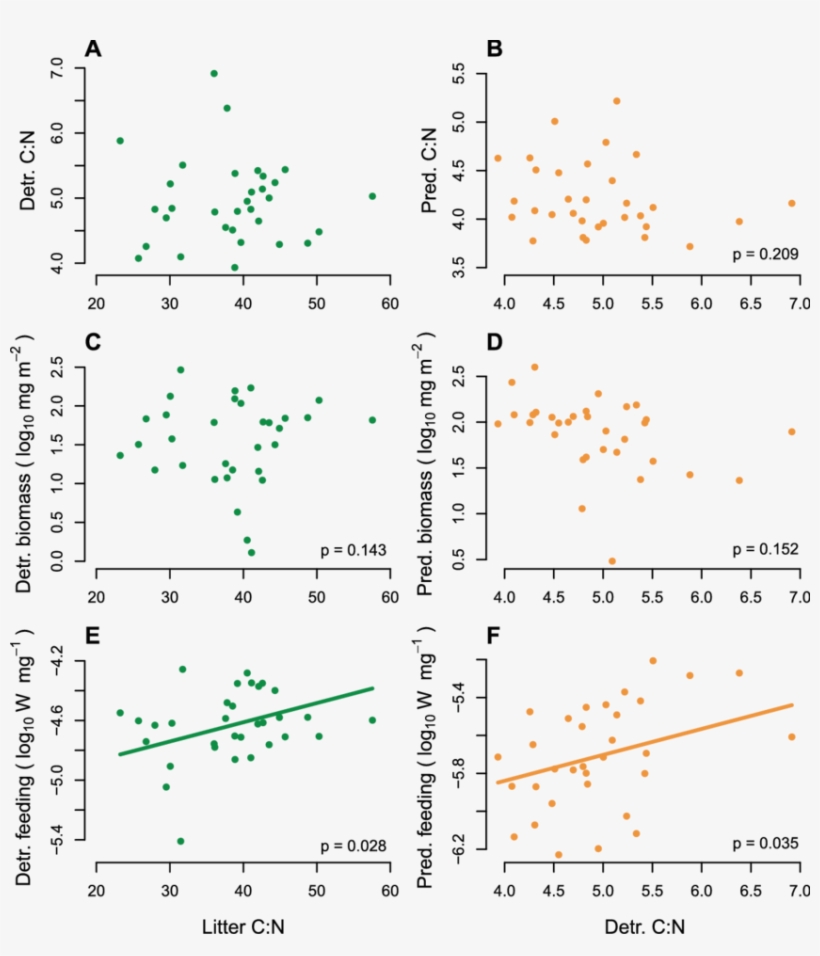 Left, Linear Mixed Effects Models For Detritivore C∶n - Diagram, transparent png download