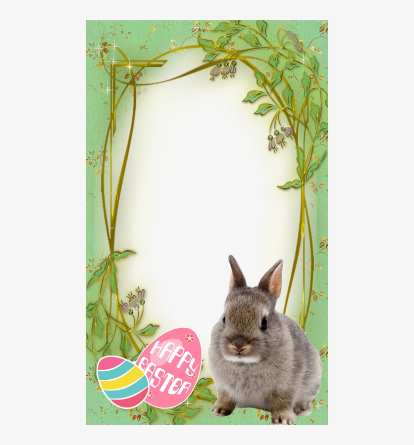 Easter Bunny Png Frame, transparent png download