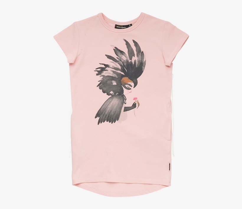 Hornbill, transparent png download