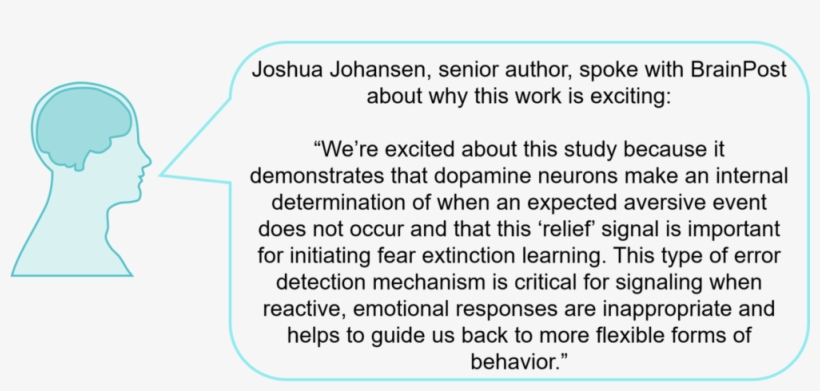 Vtaquote1800 - Insuficiencia Renal Cronica, transparent png download