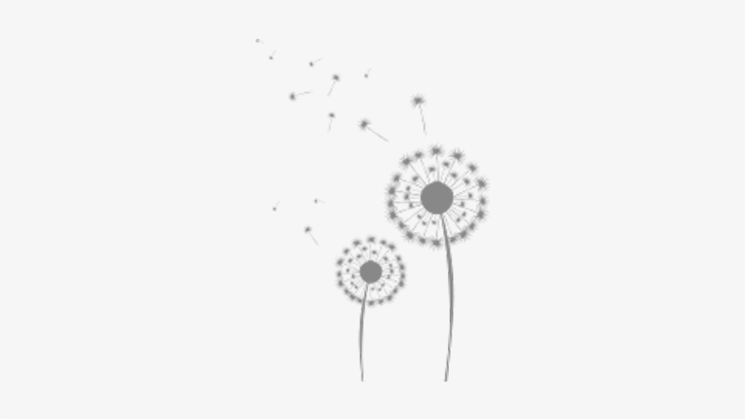 Dandelions Image - Illustration, transparent png download