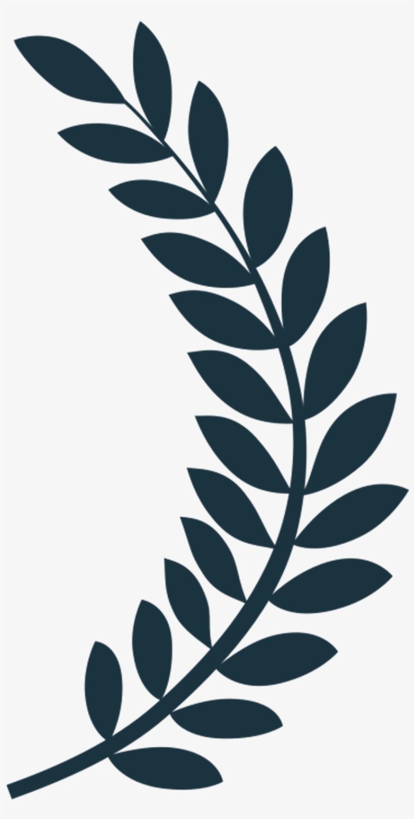 Awards & Festival Screenings - La Film Festival Award, transparent png download