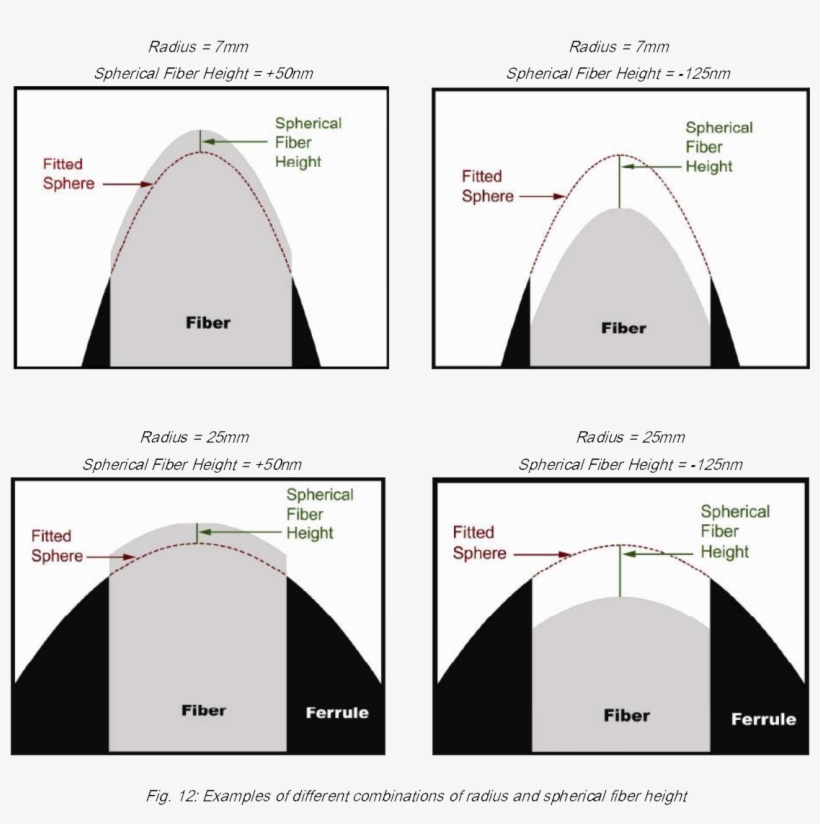 The Gray Area Is The Fiber, The Black Area Is The Ferrule, - Spherical Fiber Height, transparent png download