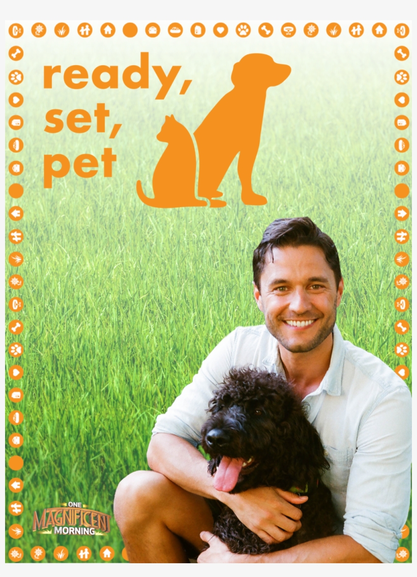 Show Posters-01, transparent png download