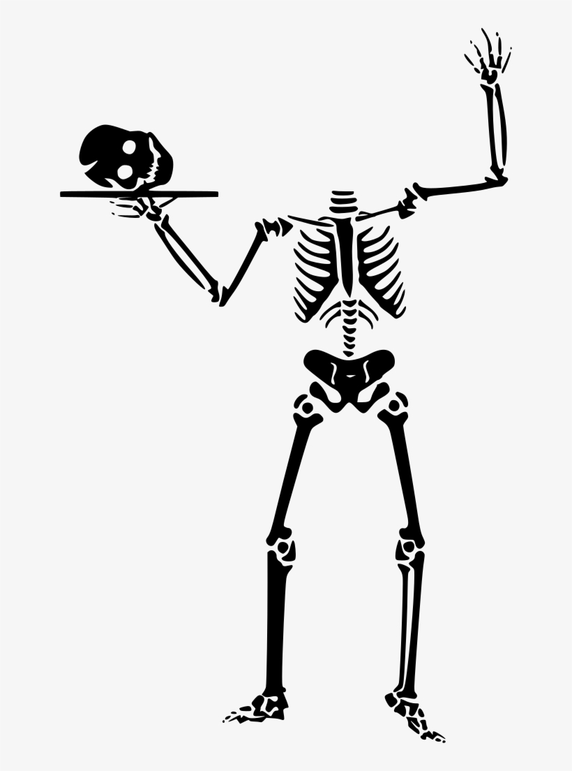 Download Png - Free Skeleton Clipart, transparent png download