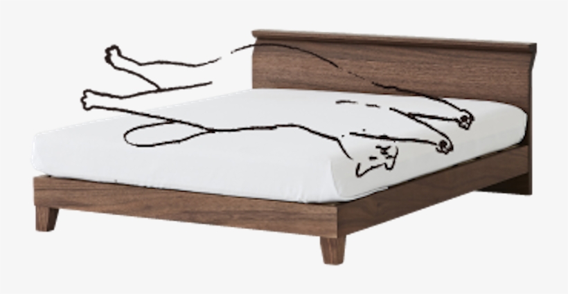 Cat Outline Bed - Bed Frame, transparent png download
