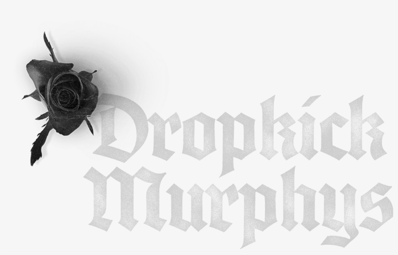 Footer-retina - Garden Roses, transparent png download