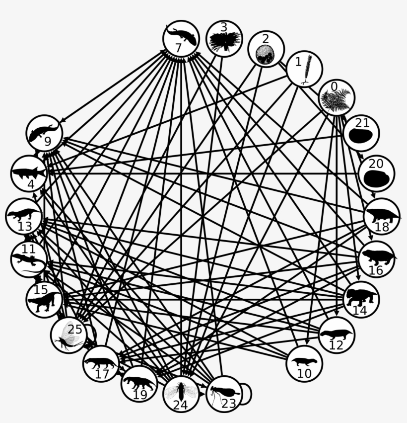 Roopnarine's Food Weblog - Ferris Wheel, transparent png download