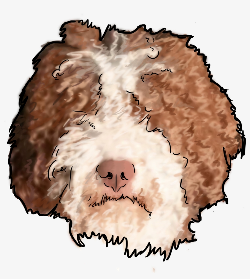 Sheep, transparent png download