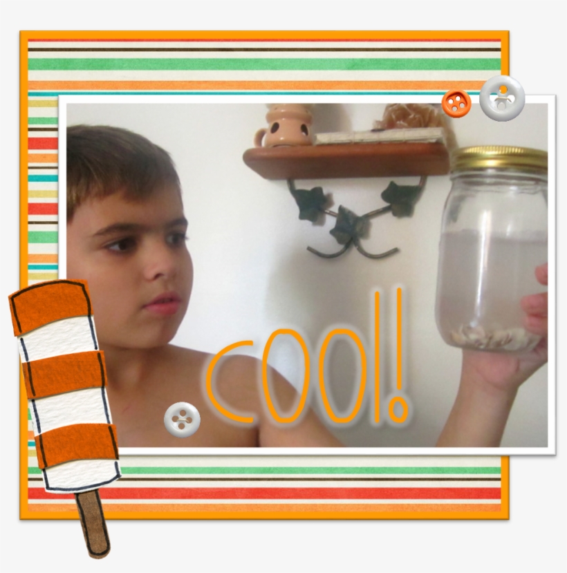 Josiah Made His Own Tornado Using Water, Sea Shells - Child, transparent png download