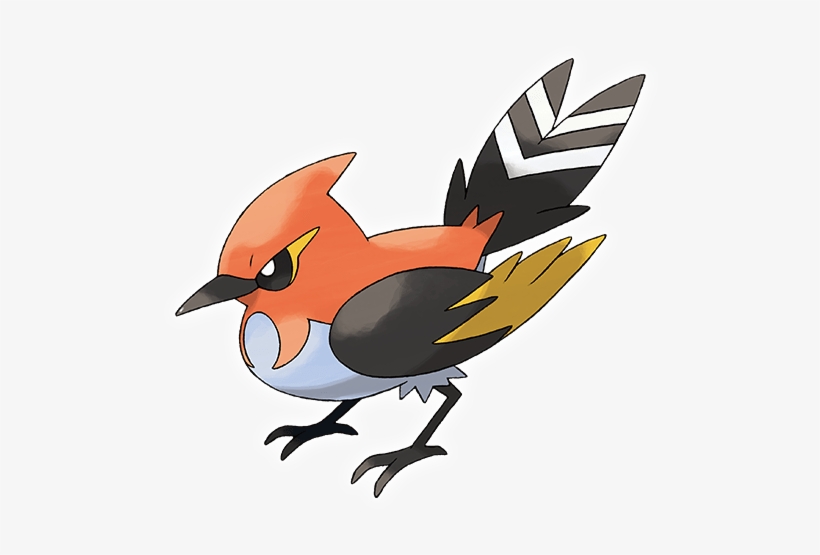 Pokemon Fletchinder, transparent png download