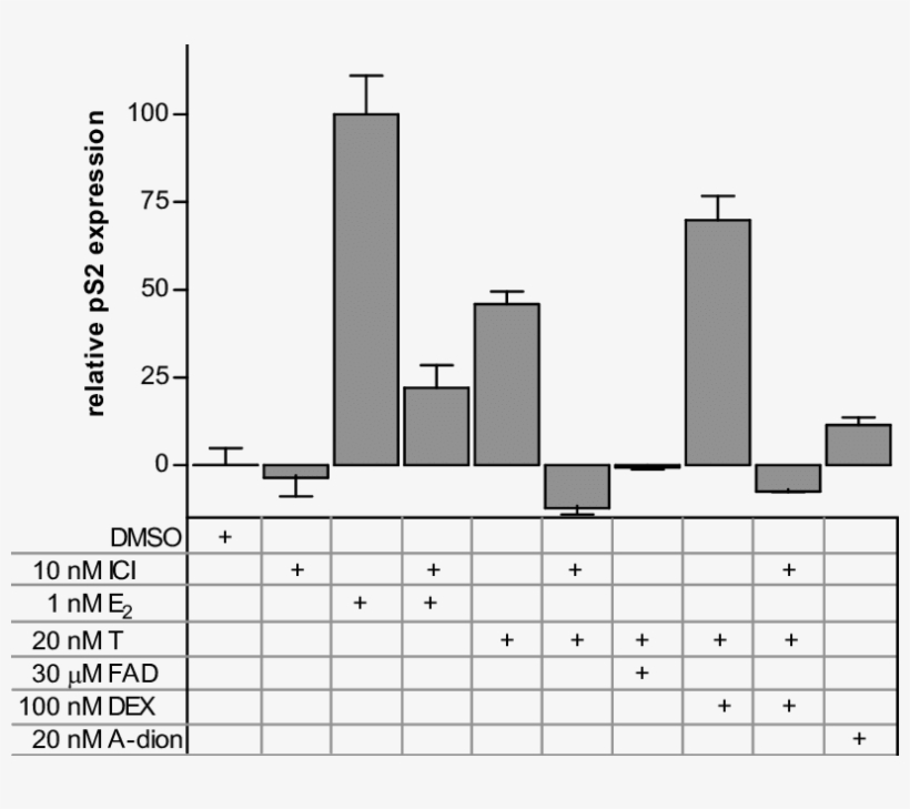 The Markers Ps2 Expression Level And Cell Proliferation - Diagram, transparent png download