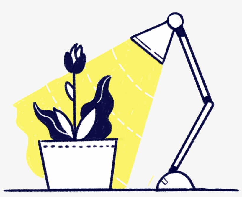 While A Sample Size Of 706 Is Relatively Small And - Illustration, transparent png download