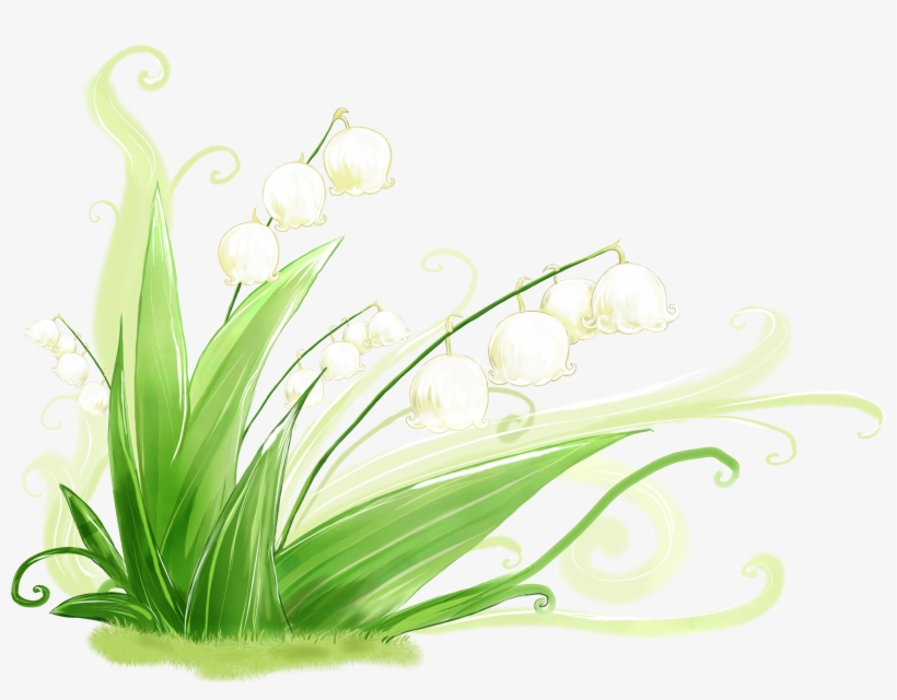 4k Wallpaper Grass » Picserio - Floral Leaf High Resolution, transparent png download