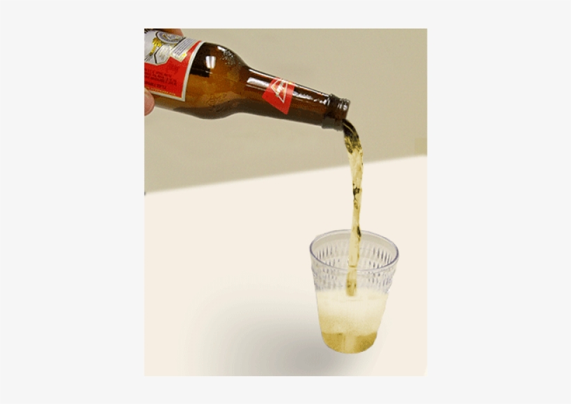 Champagne, transparent png download