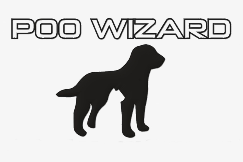 Truro Pet Services Company - Dog Catches Something, transparent png download