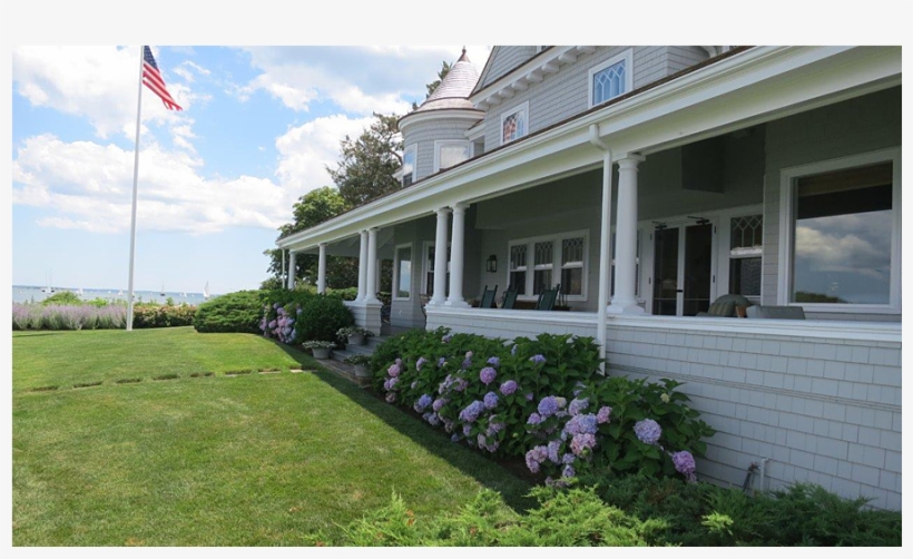 Portfolio - Impatiens, transparent png download