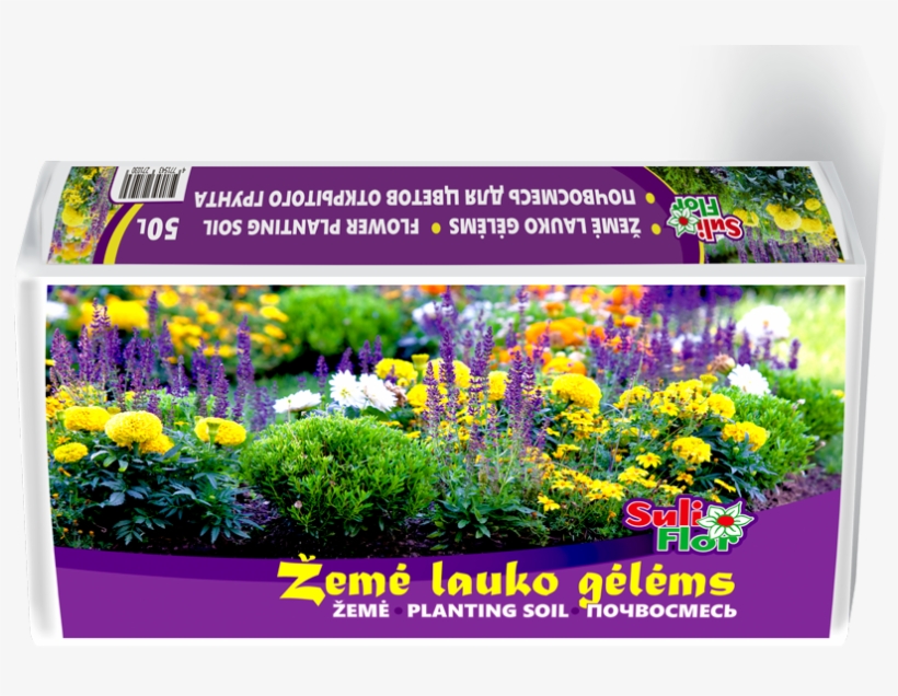 Flower Planting Soil - Edging Flowers, transparent png download