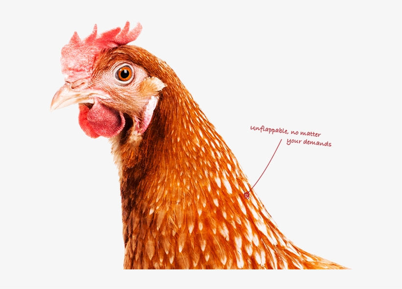 Think Performance - Slepice, transparent png download