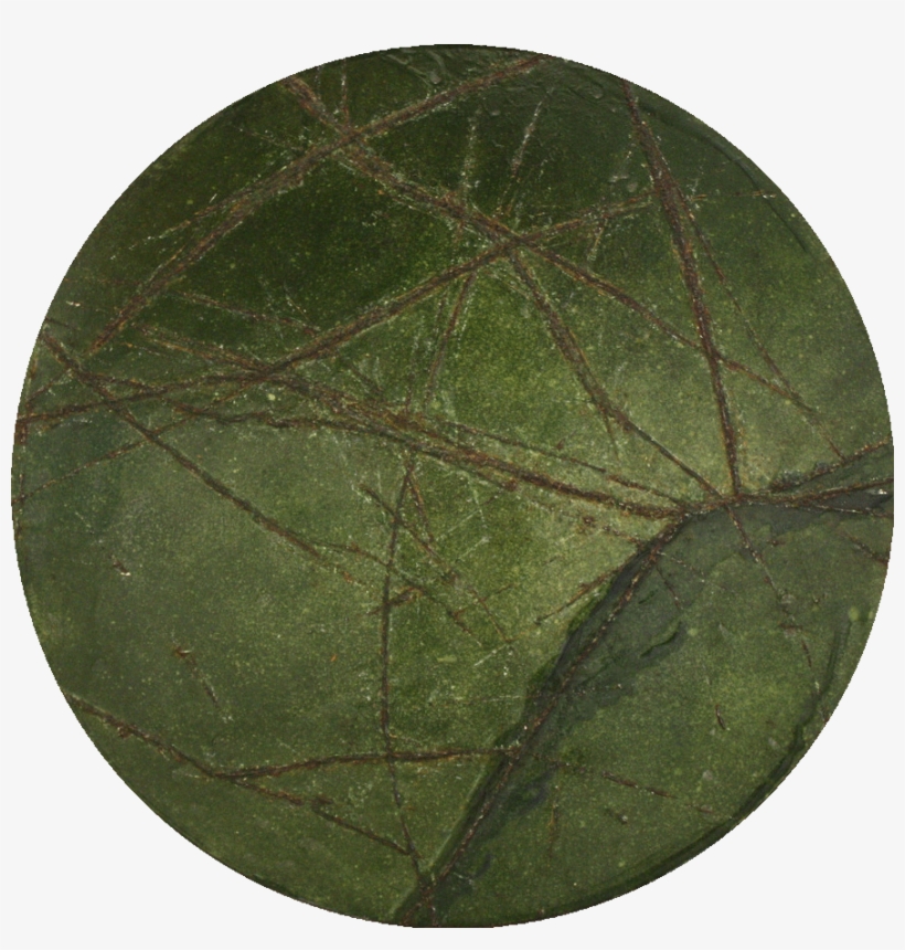 Previously - Plant Pathology, transparent png download