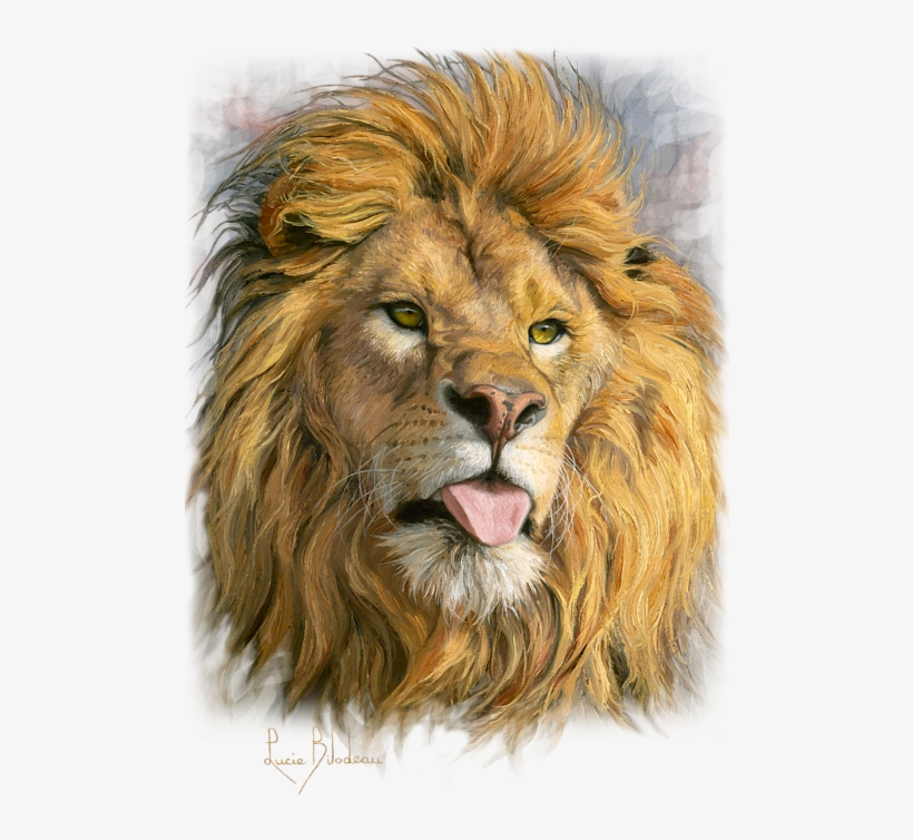 Bleed Area May Not Be Visible, transparent png download