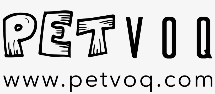 Once Upon A Time In 2016, I Met The Wonderful Folks - Lebo, transparent png download