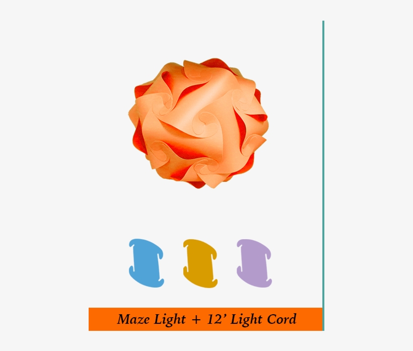 Orange Infinity Light - Garden Roses, transparent png download