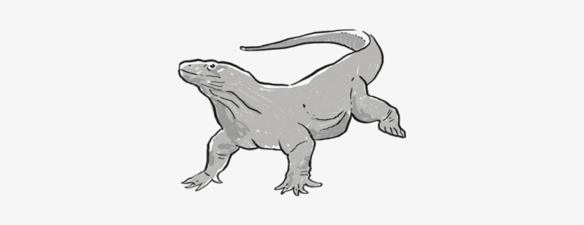 Komodo Dragon - Crocodile, transparent png download