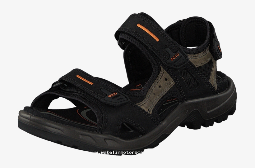 ecco offroad m black
