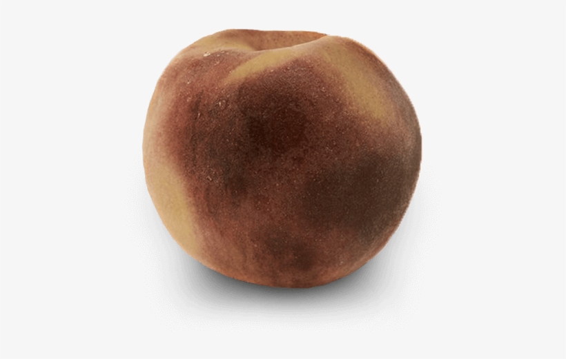 Nectarines, transparent png download