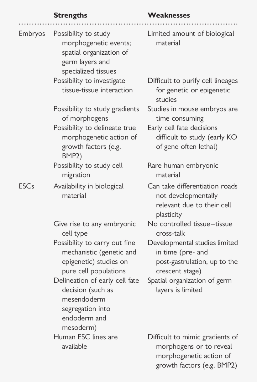 Comparative Strengths And Weaknesses Of Embryos And - Strengths And Weaknesses, transparent png download