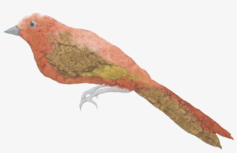 Bird Hand Painted Watercolor Transparent Decorative - Summer Tanager, transparent png download