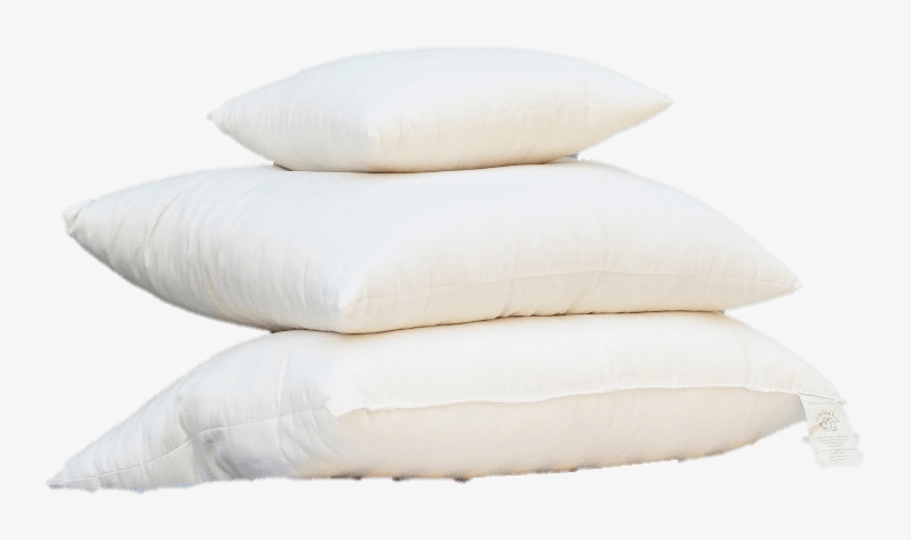 We Release The White Lotus Home Newsletter Between - Shell, transparent png download