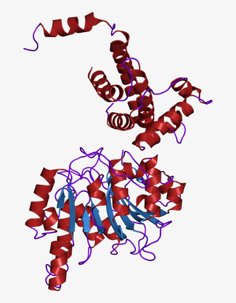 Illustration, transparent png download