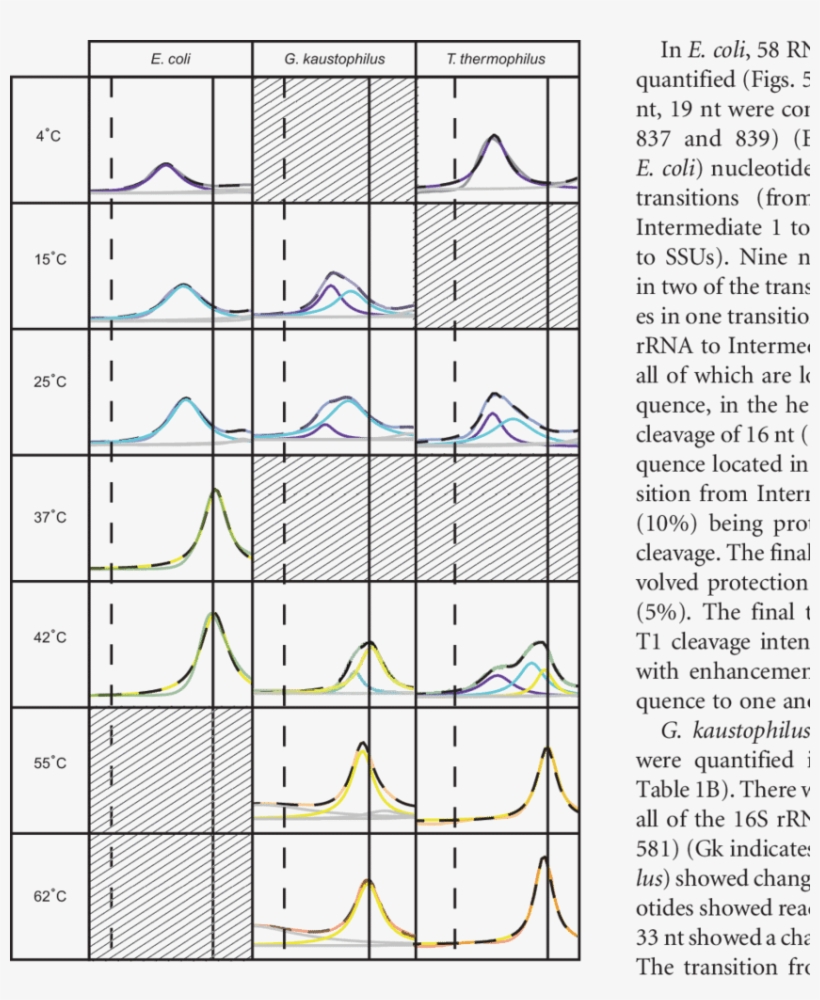 Sucrose-gradient Sedimentation Scans Are Shown In The - Diagram, transparent png download