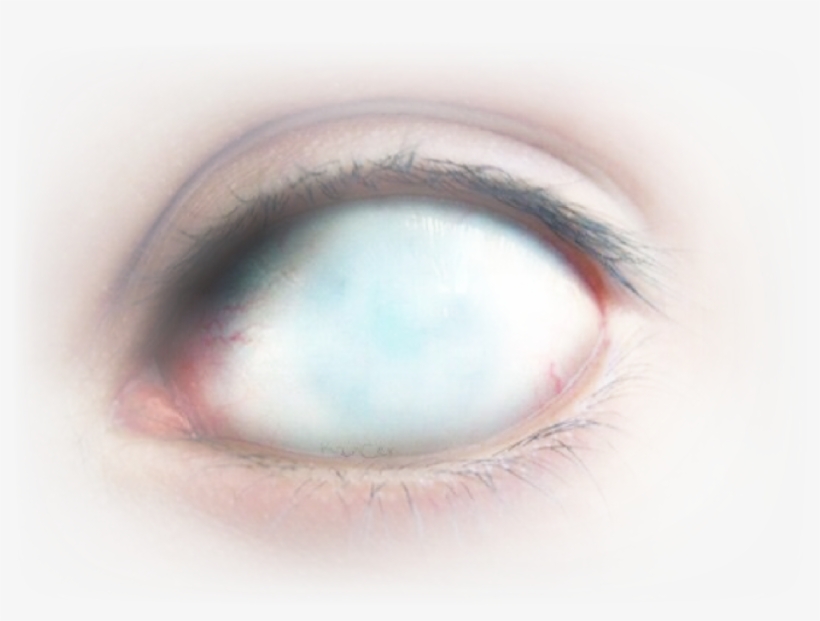 Close-up, transparent png download