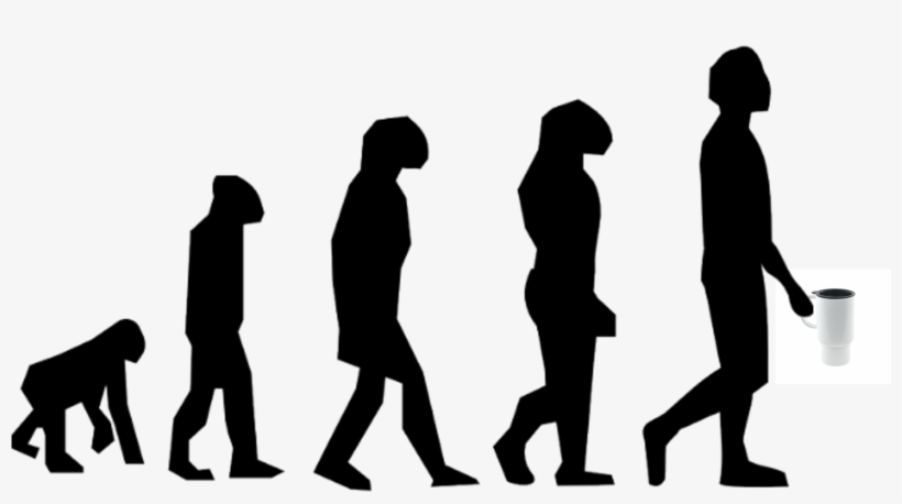 Continue Reading → - Graphic Organizer Of Evolution Of Man, transparent png download