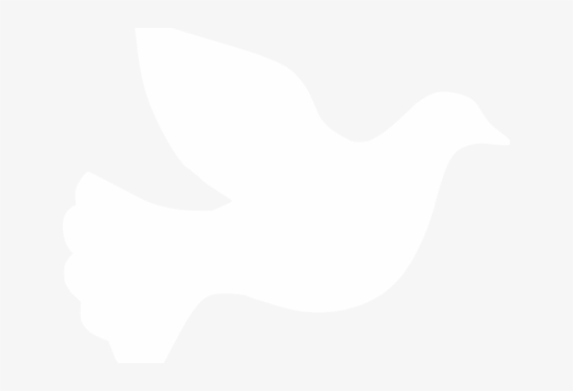 White Dove Clipart Fire Png - White Dove Vector Png, transparent png download