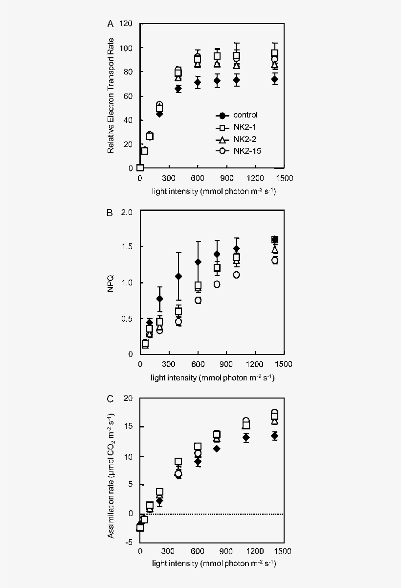 Banner Royalty Free Library Irradiance Dependency Of - Number, transparent png download