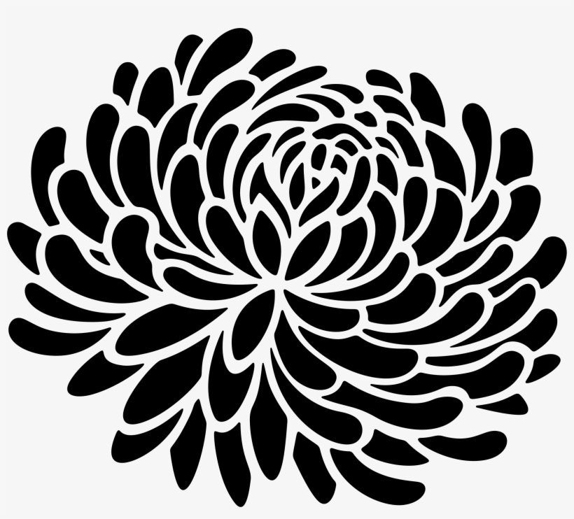Big Image - Chrysanthemum, transparent png download