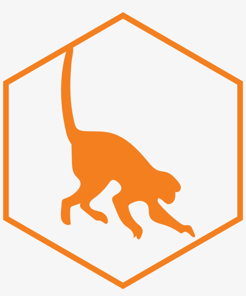 50% Of Flora And Fauna Of Costa Rica Is In This Paradise, transparent png download