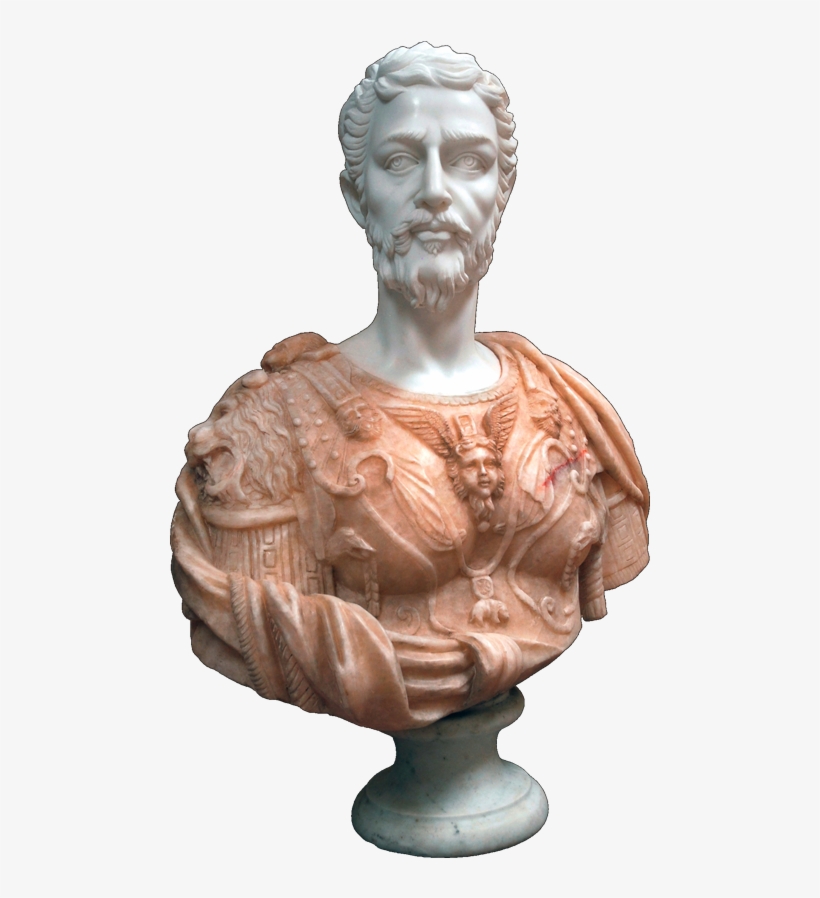 Home / Busts / Busts - Bust, transparent png download