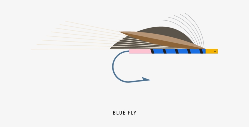 Blue Fly, transparent png download