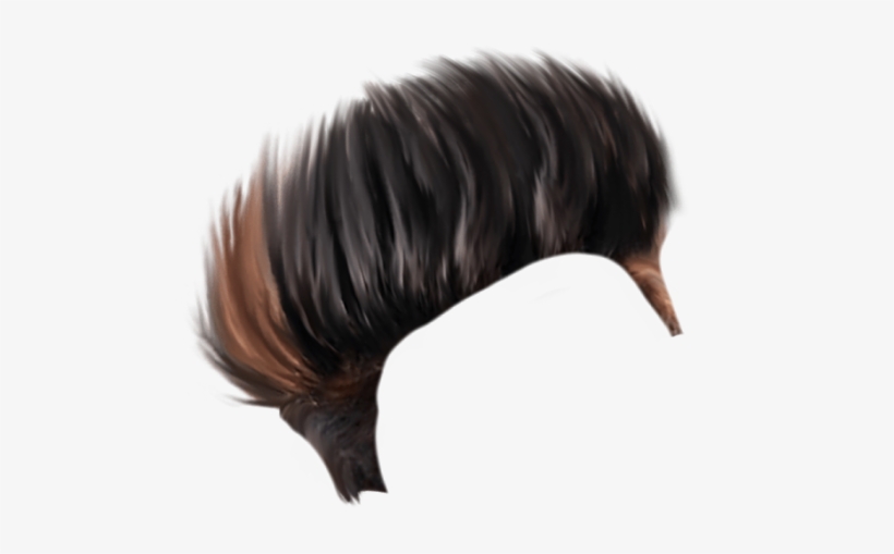 Lace Wig, transparent png download