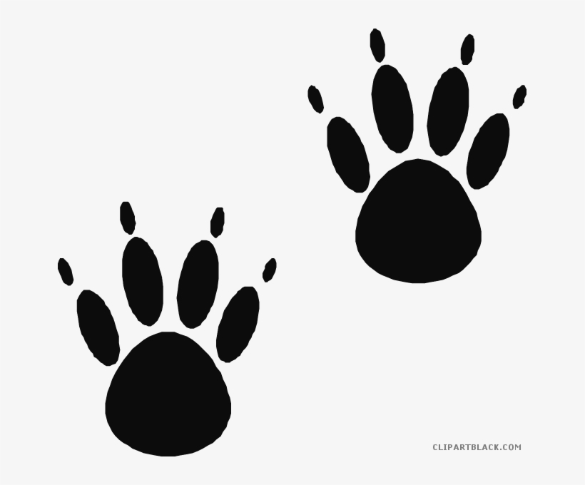 Bear Paw Print Animal Free Black White Clipart Images - Paw Prints, transparent png download
